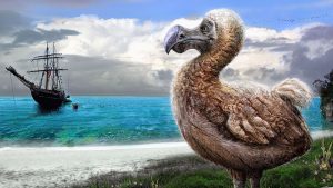 pajaro dodo portada