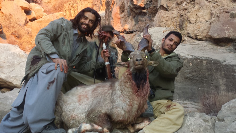 Markhor imagen 2